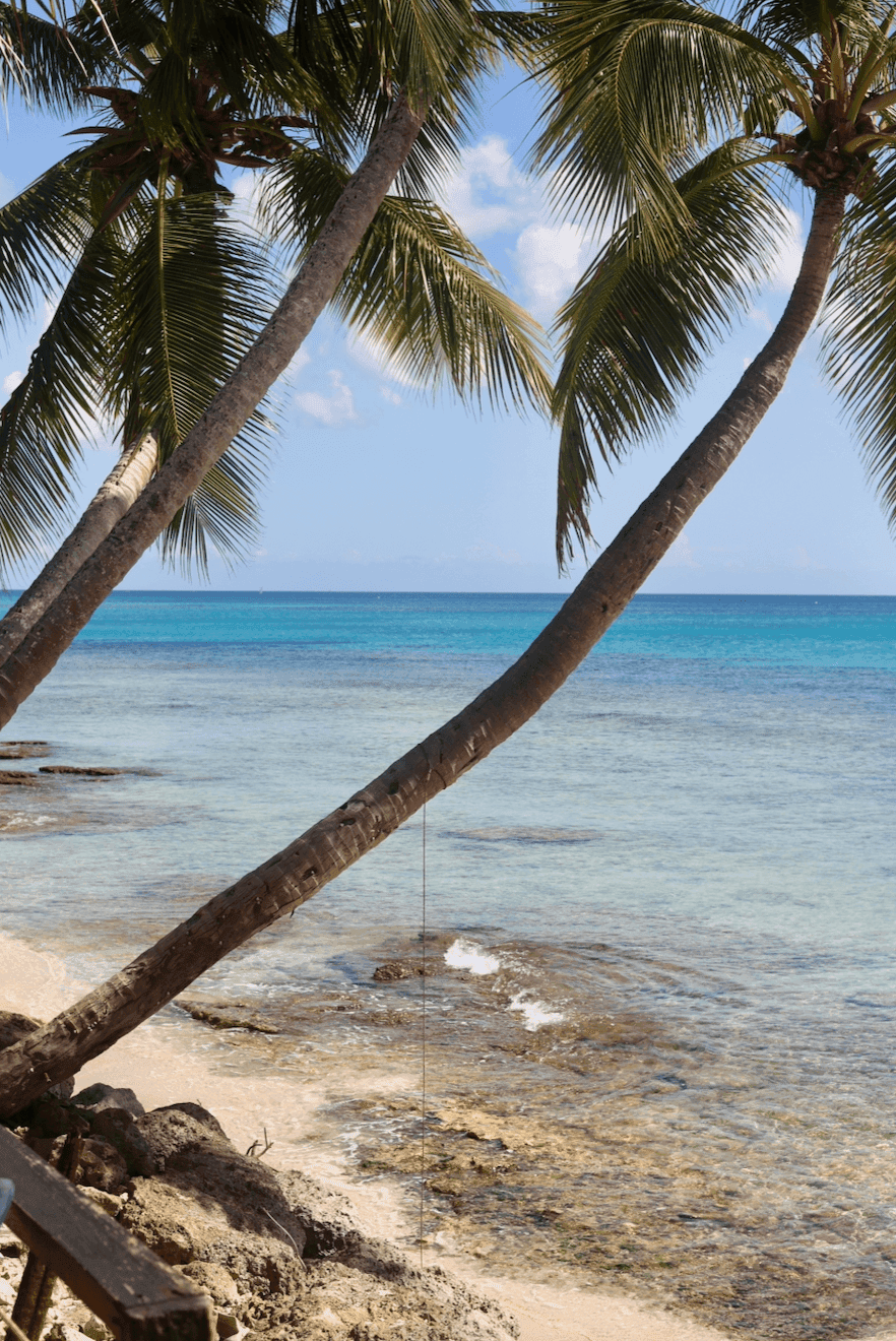 Bombas Barbados