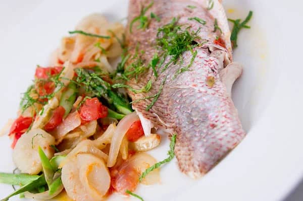 Snapper