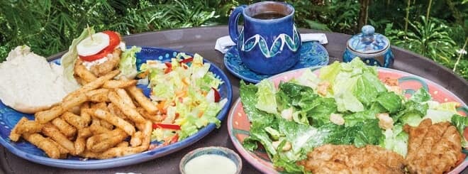 Forest Cafe
