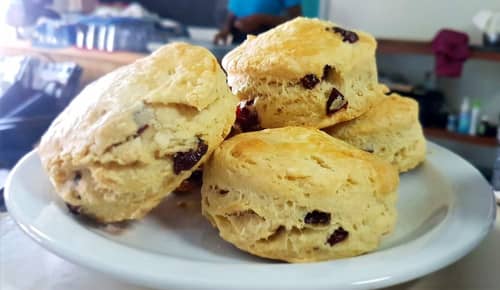 GF Island Scones ( box of 4)