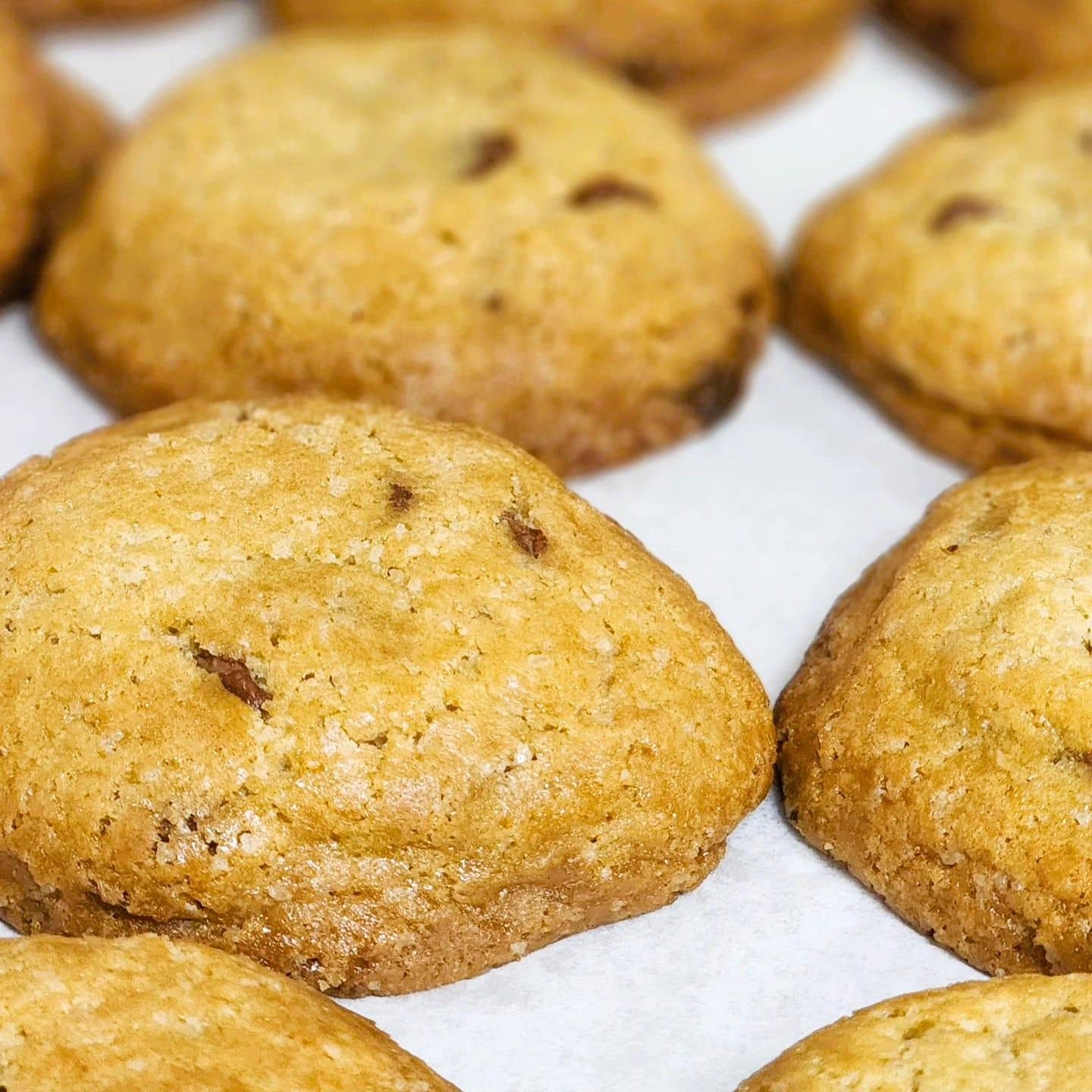 Chocolate chip cookie