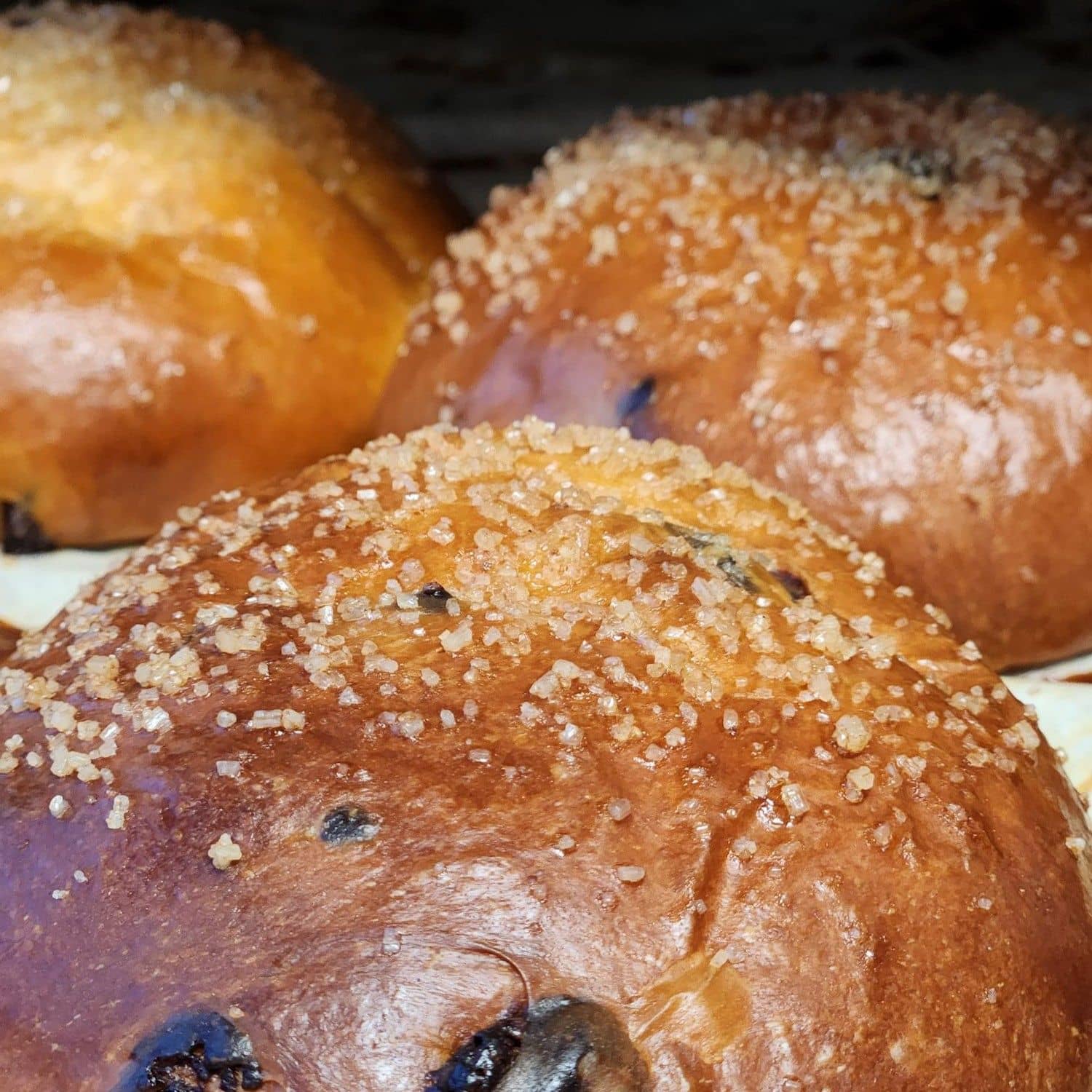 Chocolate Brioche