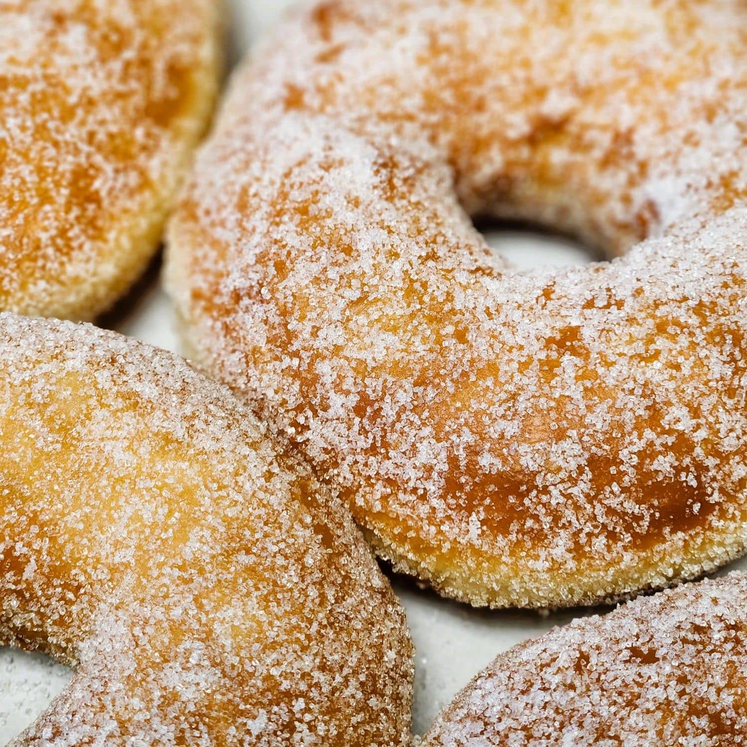 Sugar Donut
