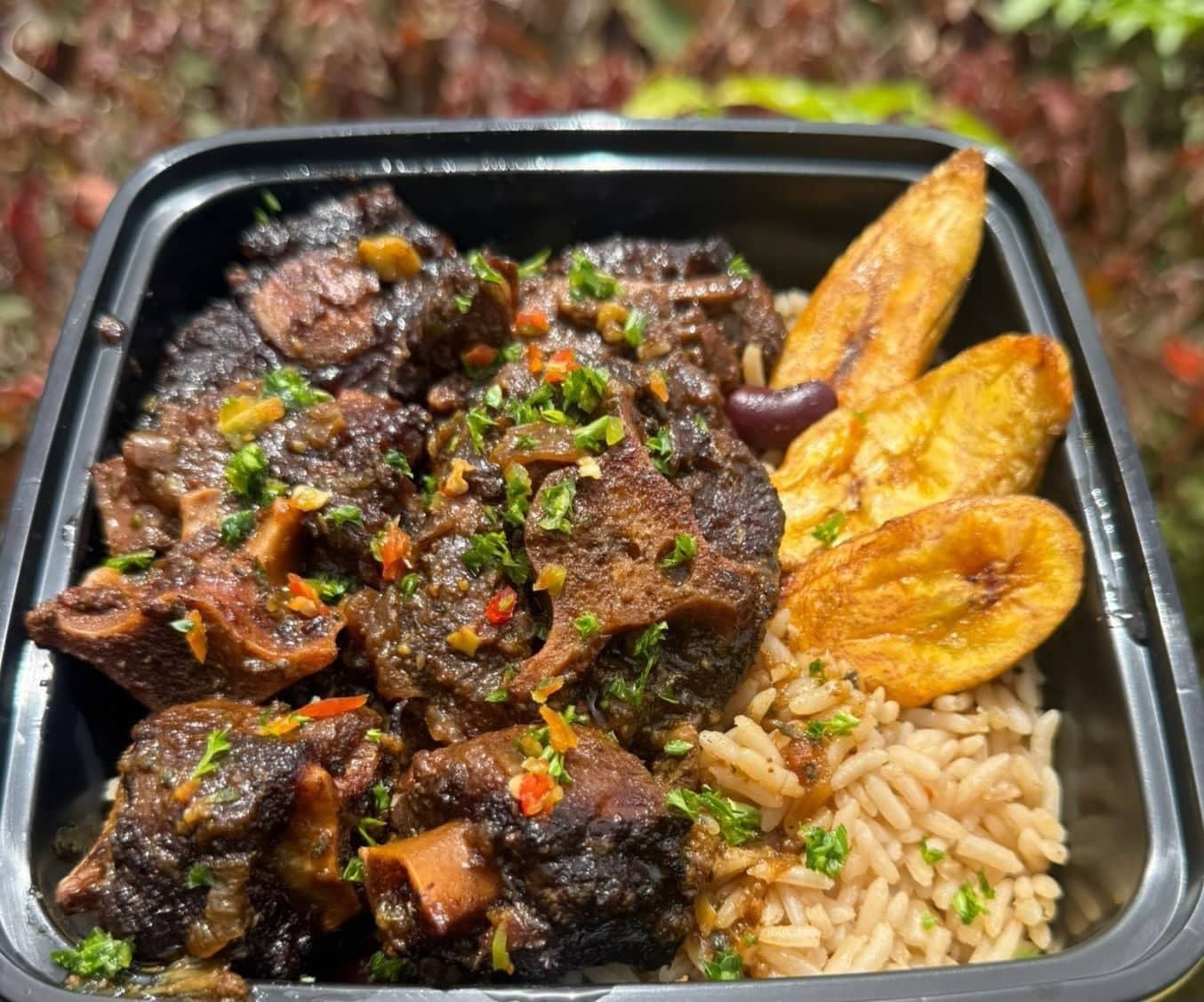 Oxtail Meal