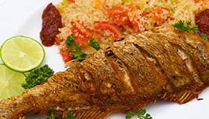 Snapper