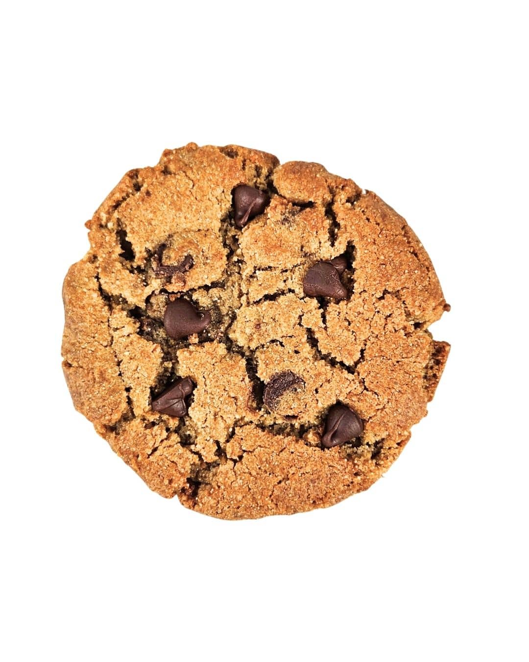 GF Chocolate Chip Cookies – Box of 6 or 12