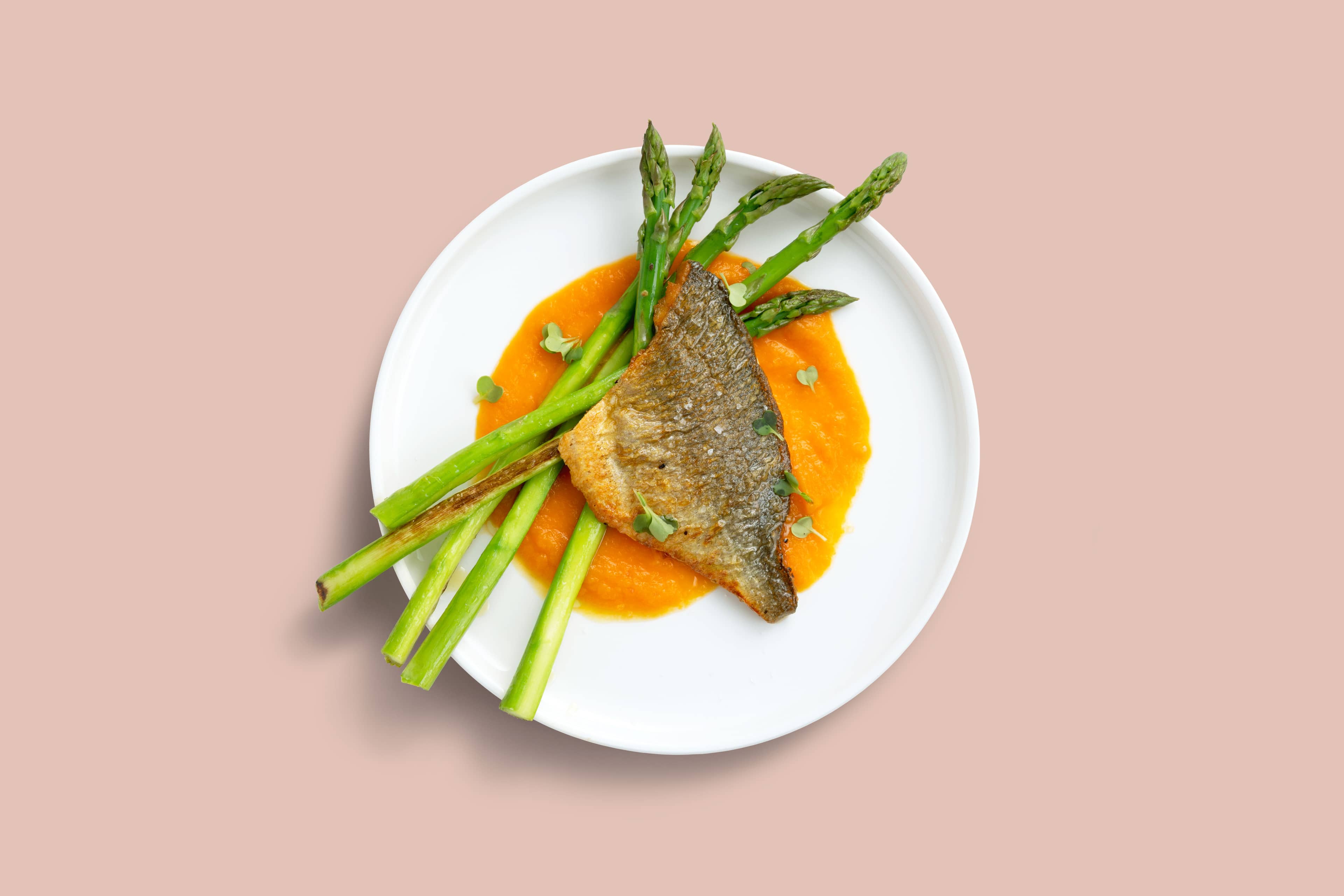 Fish of the day