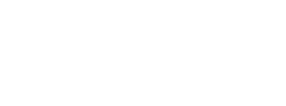 The Village Cafe logo